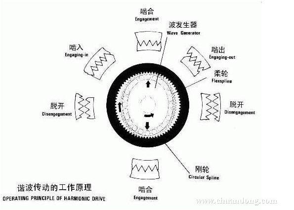 图片10